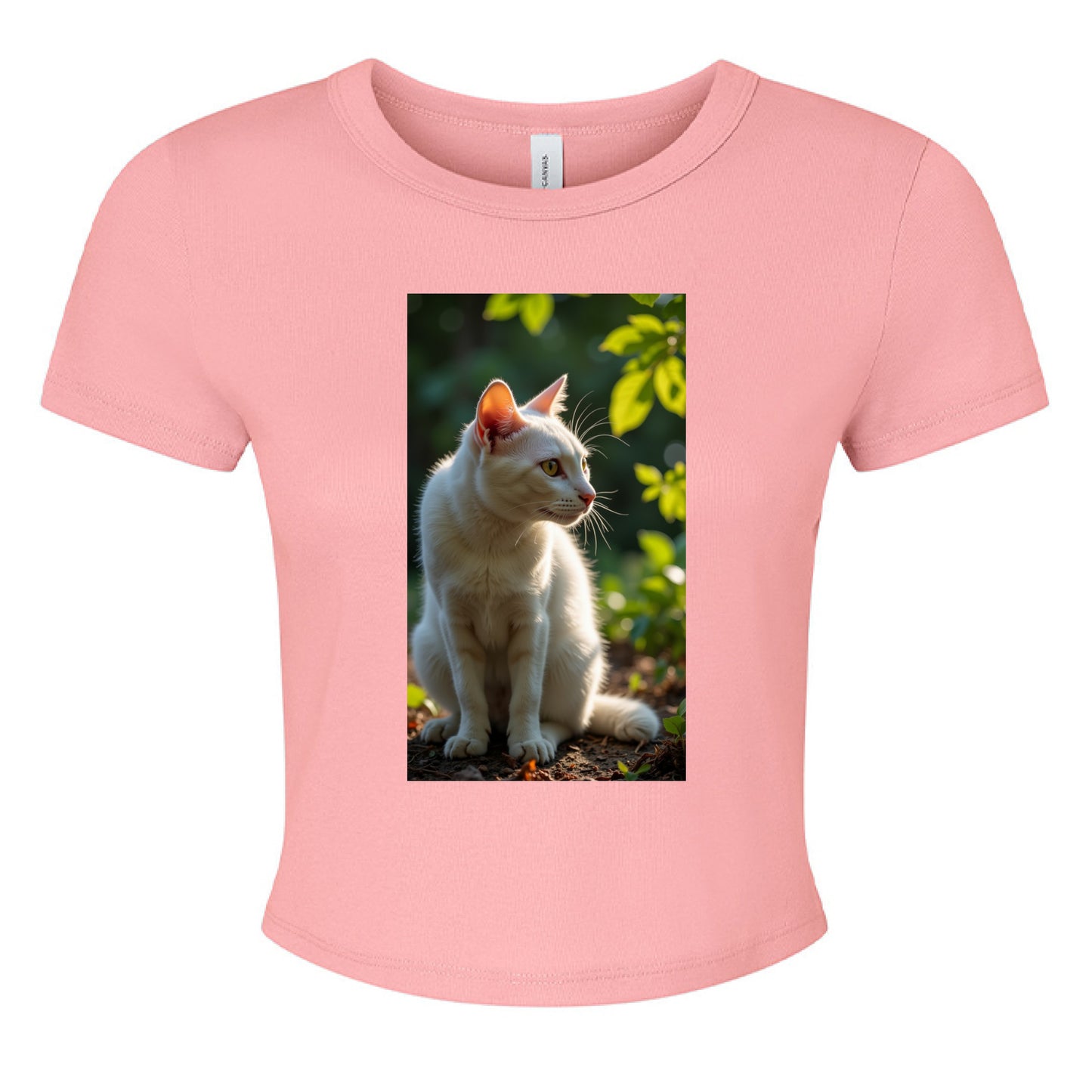 SOLID PINK BLEND - FRONT